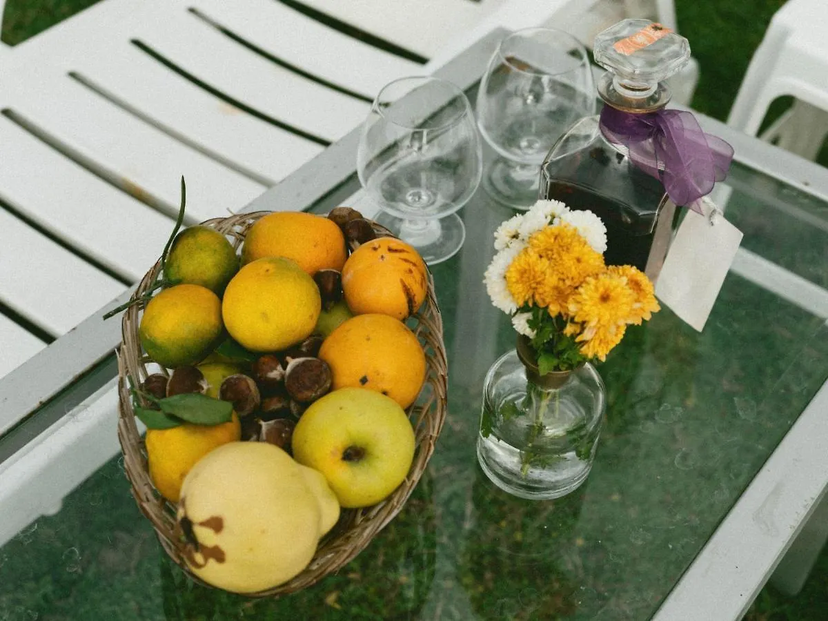 Bed & Breakfast Kallmi View Eco Rooms Durres