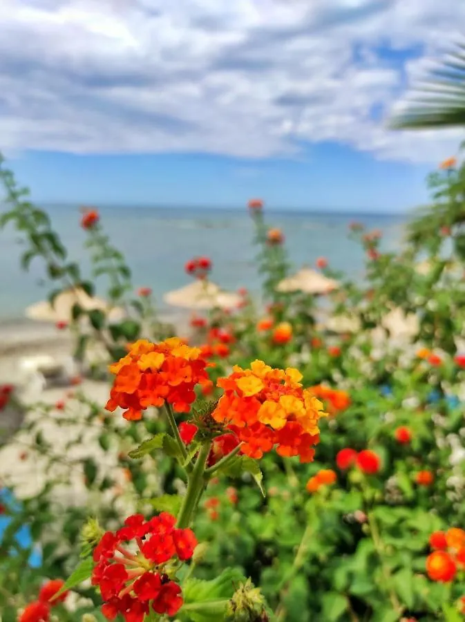 Kallmi View Eco Rooms Durres Albania